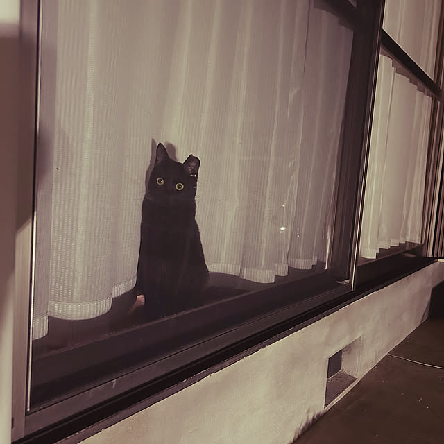 junさんの部屋