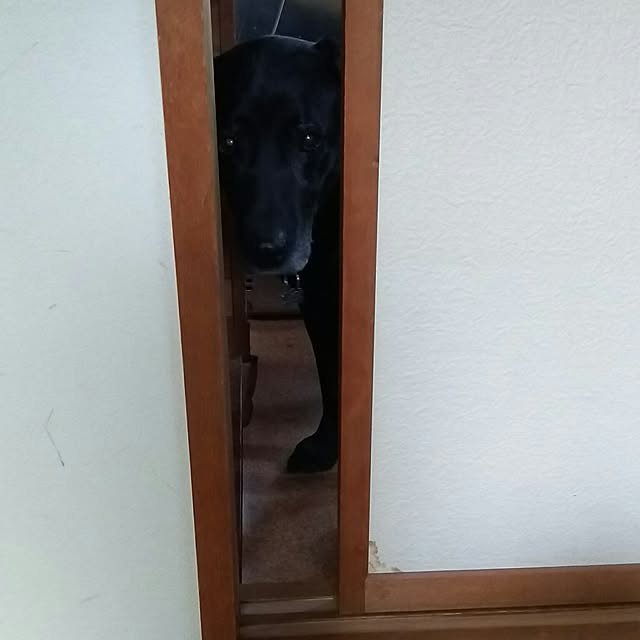 ohisamaさんの実例写真