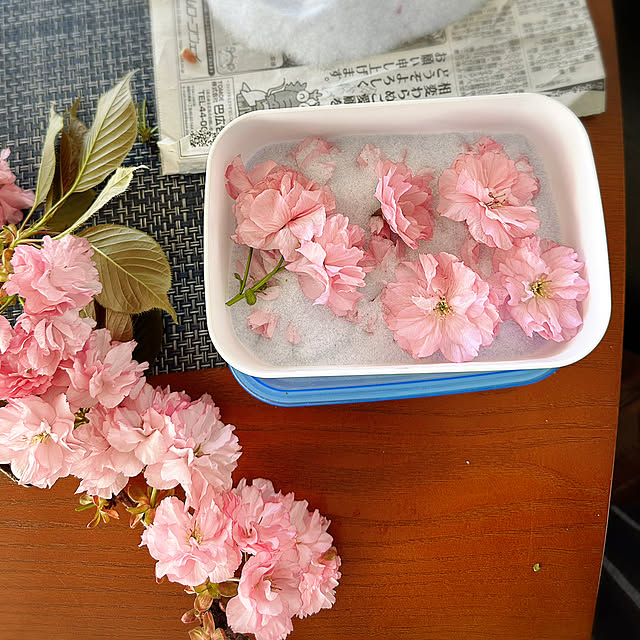 hanahana1444さんの部屋