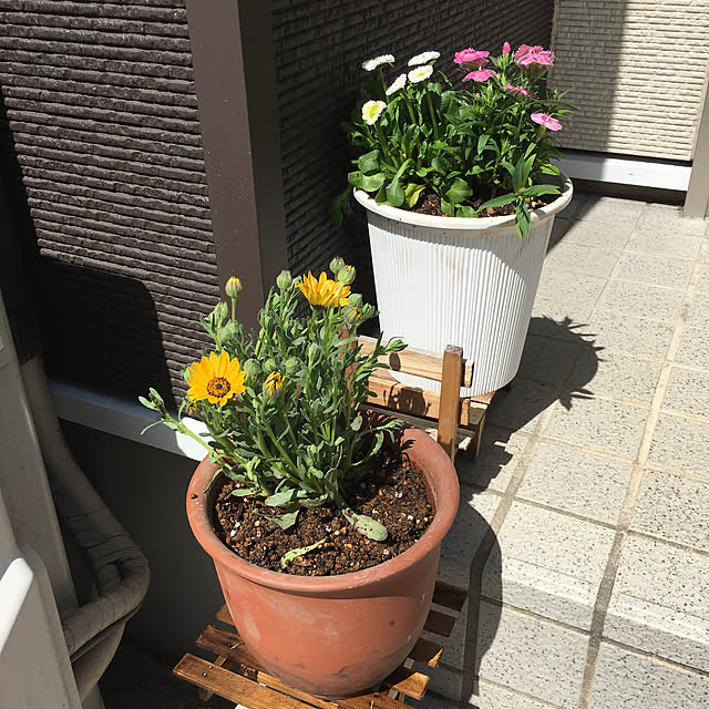 yuminnieさんの実例写真
