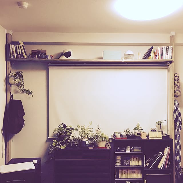 AYAkumiさんの実例写真