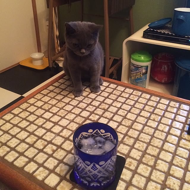 Shojiさんの実例写真