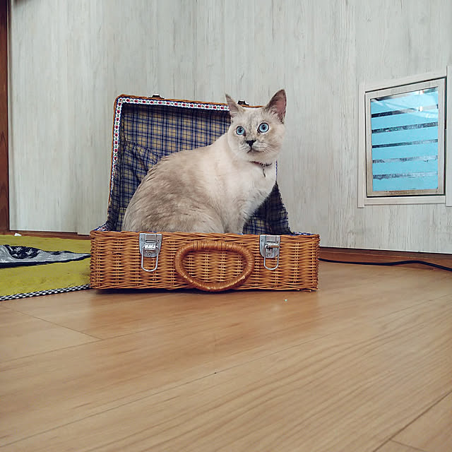 kiyohima229さんの実例写真