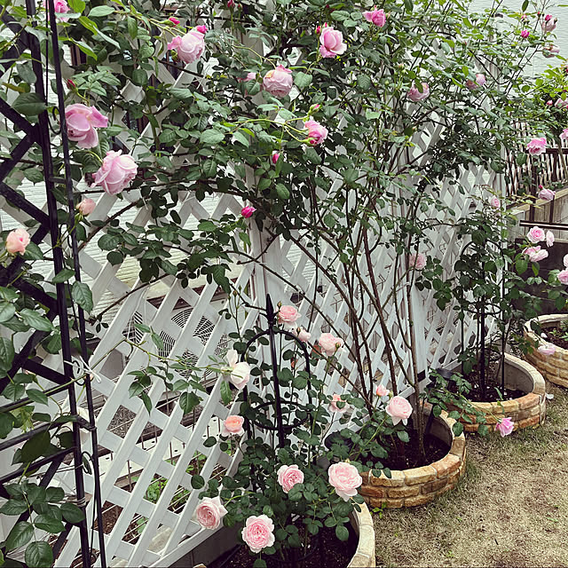 lunaさんの実例写真