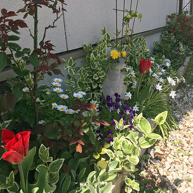 portulacaさんの実例写真