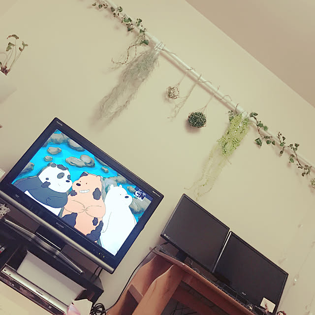 観葉植物/ダイソー/ナチュラル/雑貨/100均...などのインテリア実例 - 2019-04-19 15:39:21