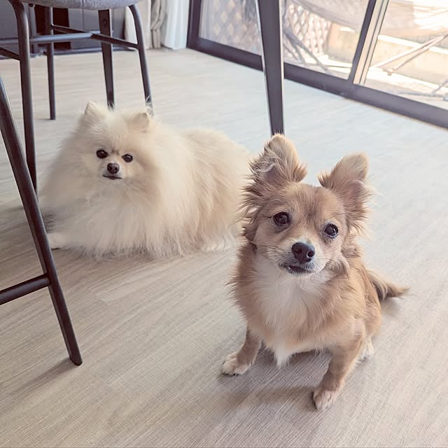 noahさんの実例写真