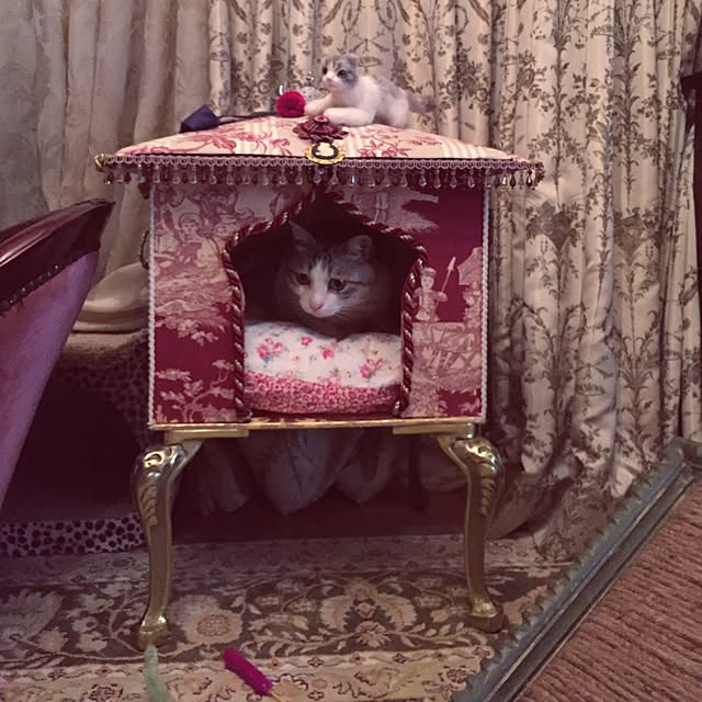 emmyyさんの実例写真