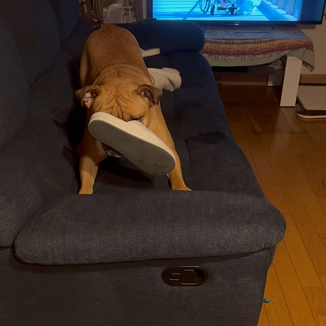 chi_gogaさんの部屋
