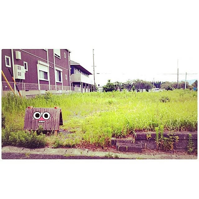 Saoriさんの実例写真