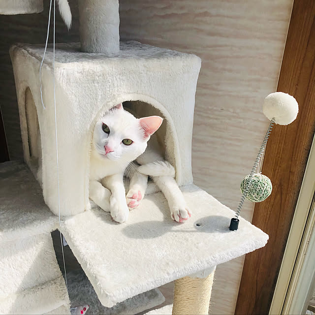 moyuhiさんの実例写真