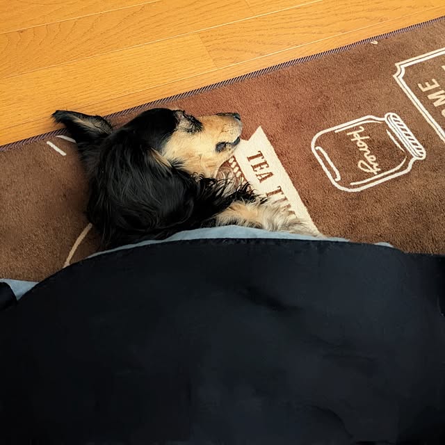 momozouさんの実例写真