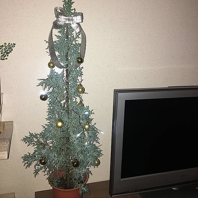 chi__uxu__0411さんの実例写真