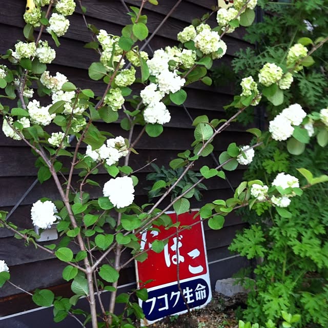 rekoさんの実例写真