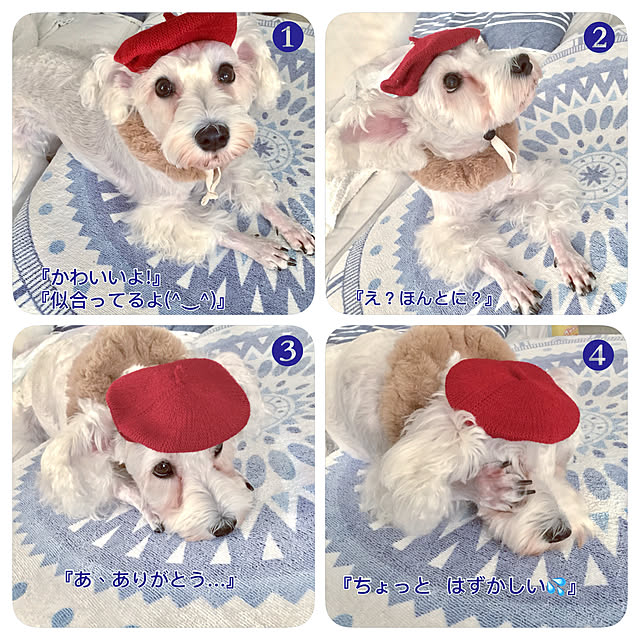 suzyさんの実例写真