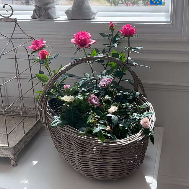 choさんの実例写真