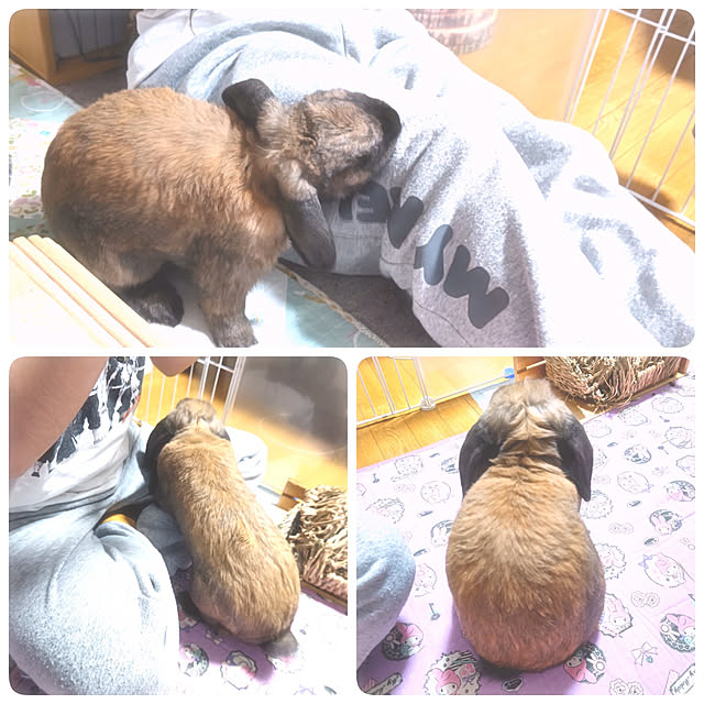 mariaさんの実例写真