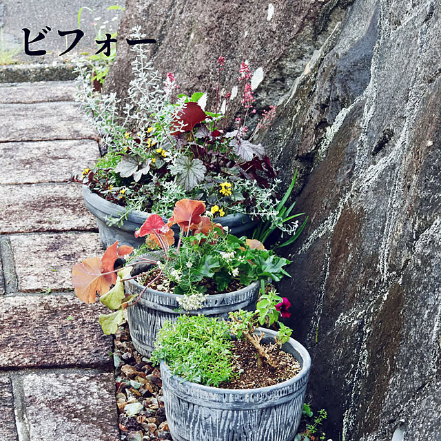 onsix777さんの部屋