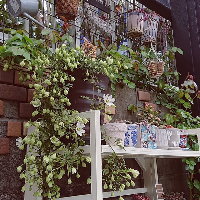 taeko0779さんの実例写真