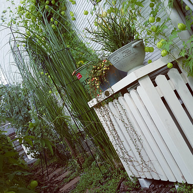 nia1213さんの実例写真