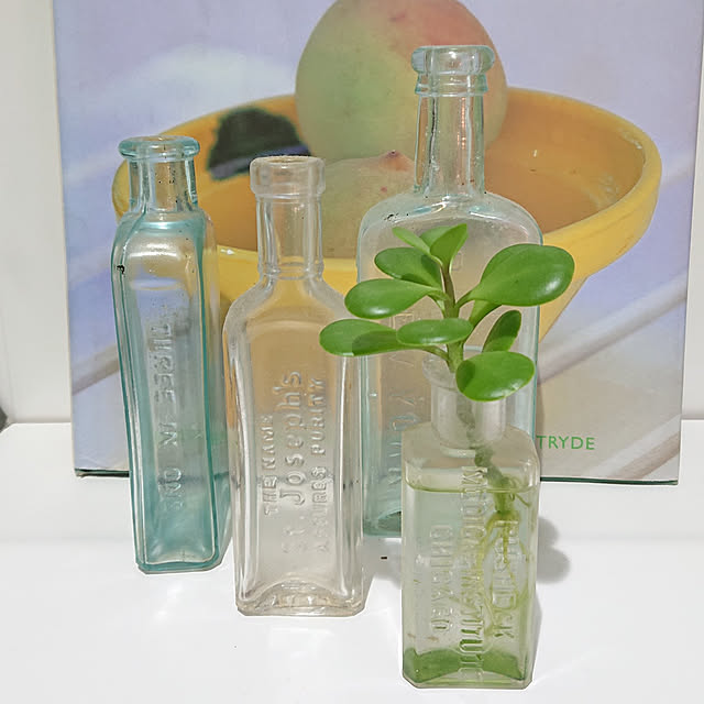 bosagreenさんの実例写真
