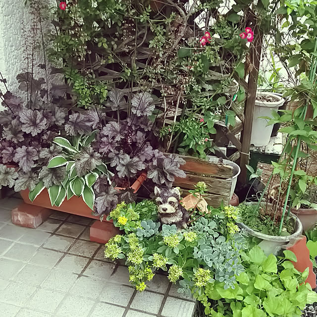 chiikokunさんの実例写真