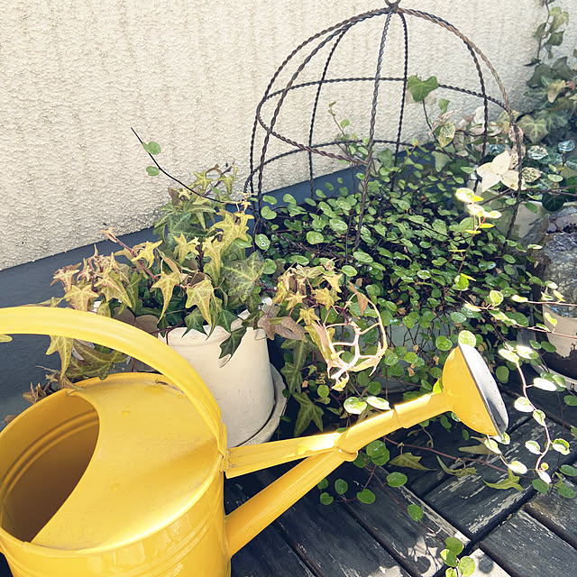gachaさんの実例写真