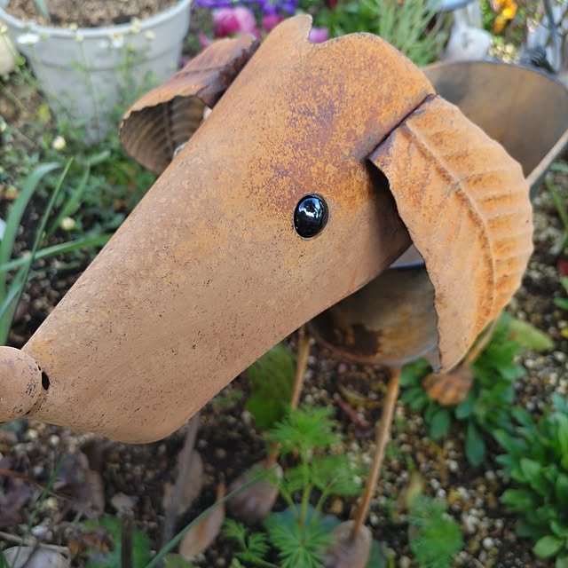 salacocoさんの部屋