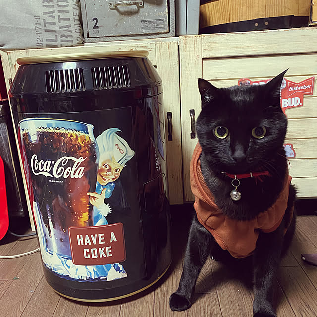 you-goさんの実例写真