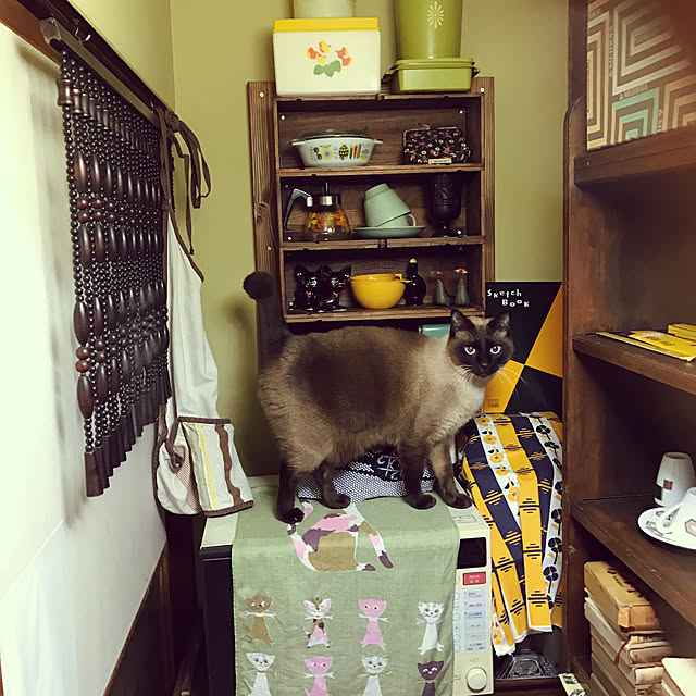 neko-2.2.2runmuさんの実例写真