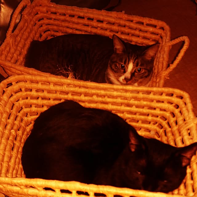 OKANさんの実例写真