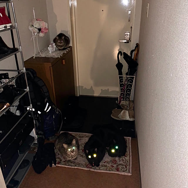 emikoさんの実例写真