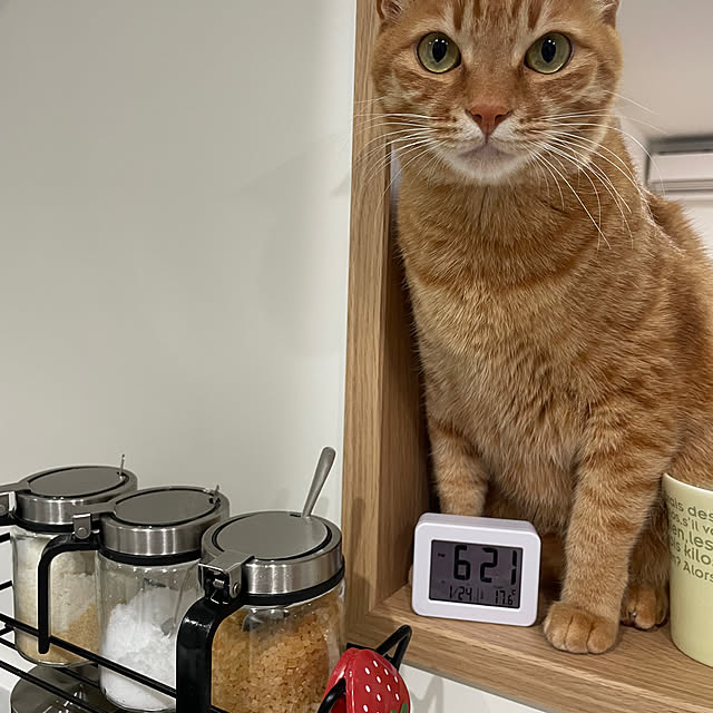 mi373miさんの実例写真