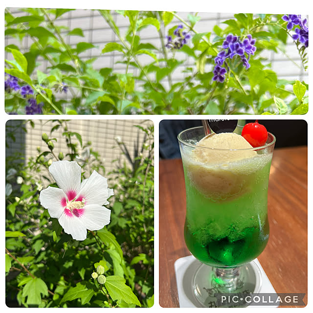 happy-sachiさんの実例写真