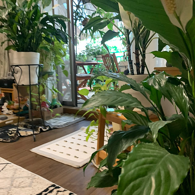 Aqettyさんの部屋