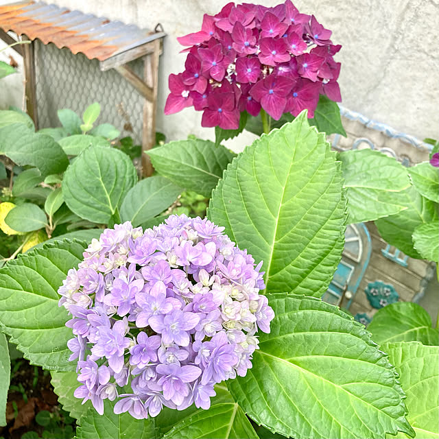 kakamiさんの実例写真