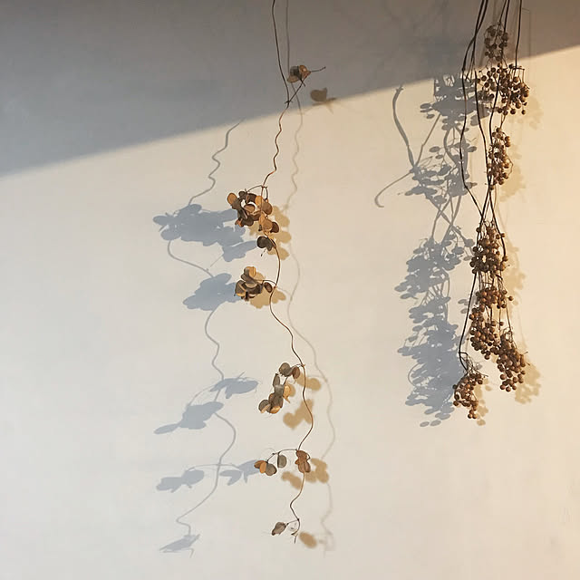 tocoriさんの実例写真