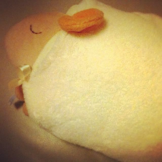 Soraさんの実例写真