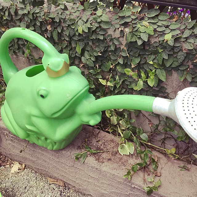 tokotokoさんの実例写真
