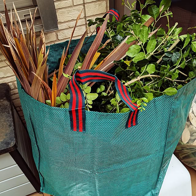 mikoさんの実例写真