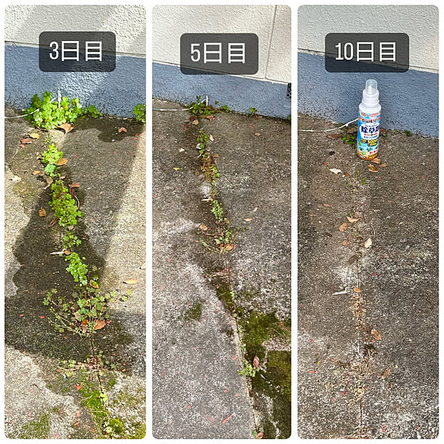 SIELUさんの実例写真