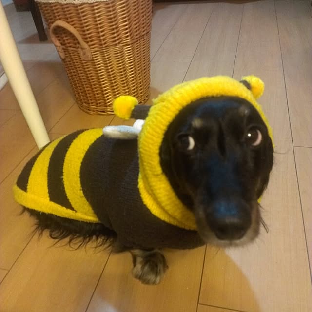 marorinさんの実例写真
