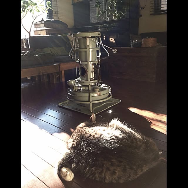 jnkaiさんの実例写真