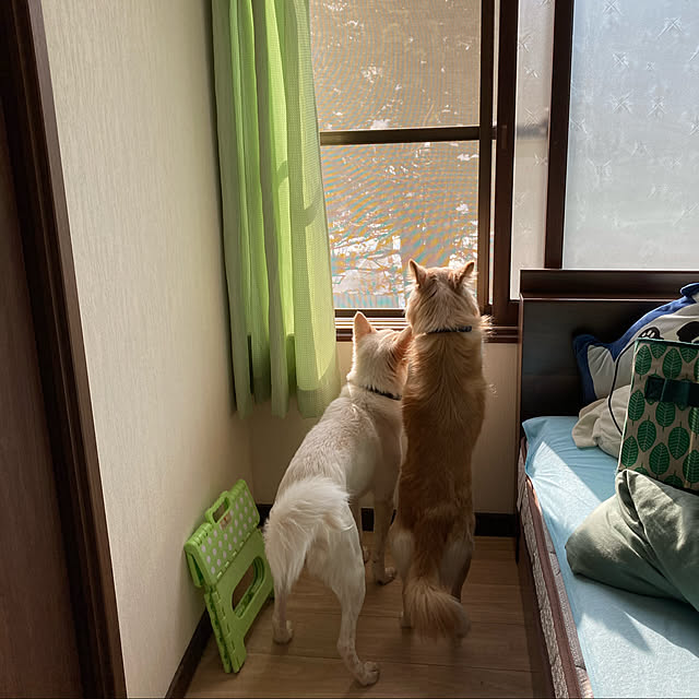 cheminさんの実例写真