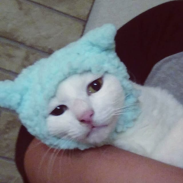 mariさんの実例写真