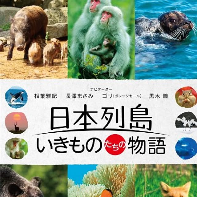 Shigeさんの実例写真
