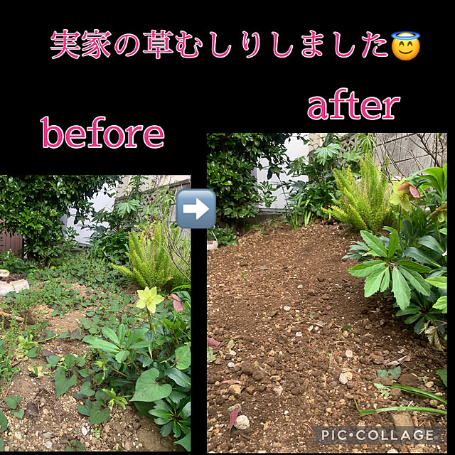 Aqettyさんの実例写真