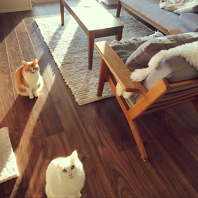 Shihobooさんの実例写真
