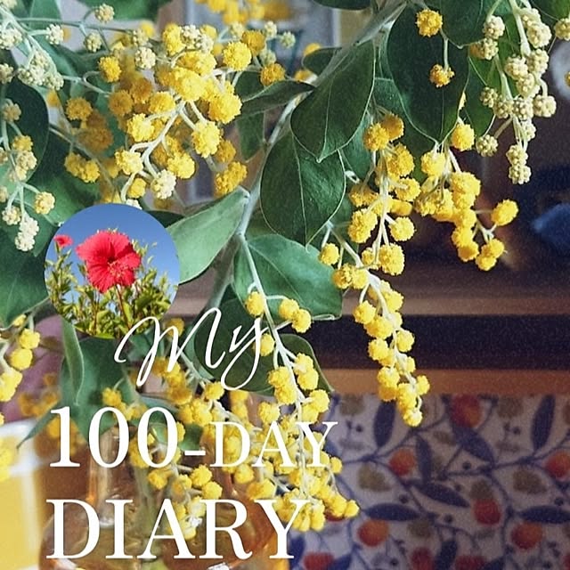 nicoさんの実例写真