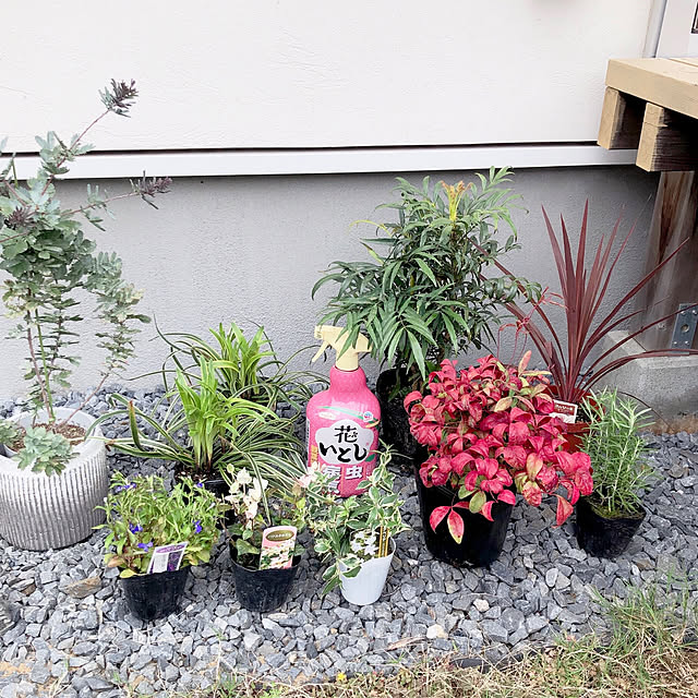 kossyさんの実例写真